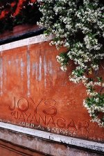 Joys of Jayanagar