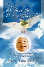 Where the White Dove Flies