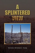 Splintered View