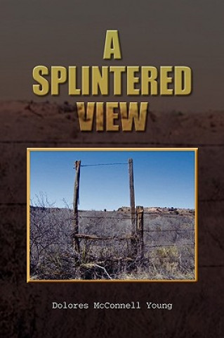 Splintered View