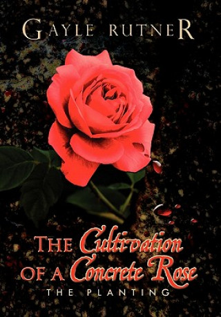 Cultivation of a Concrete Rose