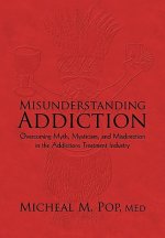 Misunderstanding Addiction