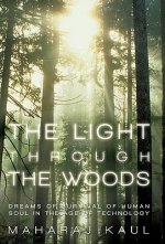 Light through the Woods
