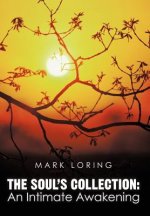 Soul's Collection