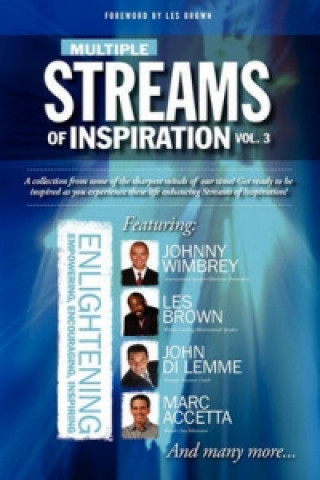 Multiple Streams of Inspiration 3
