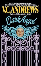 Dark Angel