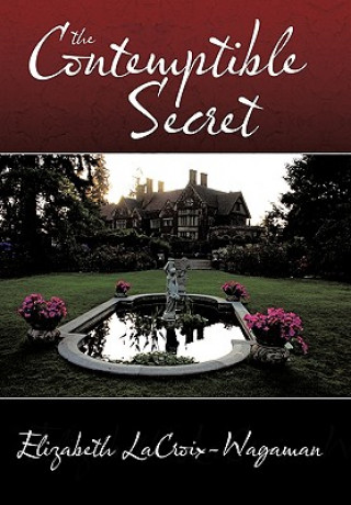 Contemptible Secret