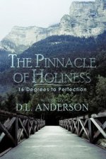 Pinnacle of Holiness