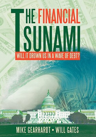 Financial Tsunami