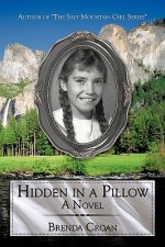 Hidden in a Pillow