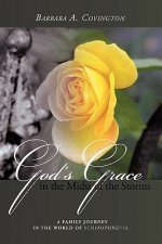 God's Grace in the Midst of the Storms
