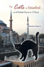 Cats of Istanbul