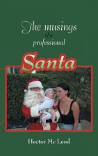 Musings of a Professional Santa