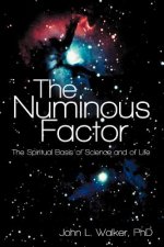 Numinous Factor