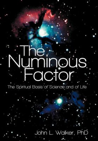 Numinous Factor