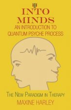 Into Minds-An Introduction to Quantum Psyche Process