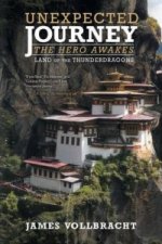 Unexpected Journey the Hero Awakes