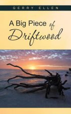 Big Piece of Driftwood