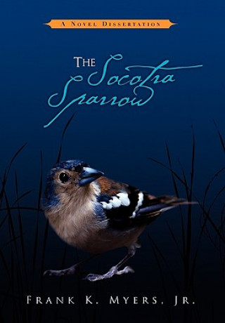 Socotra Sparrow