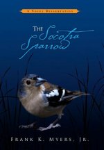 Socotra Sparrow