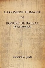 La Comedie Humaine of Honore de Balzac (Synopses)
