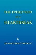 Evolution of a Heartbreak