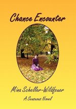 Chance Encounter