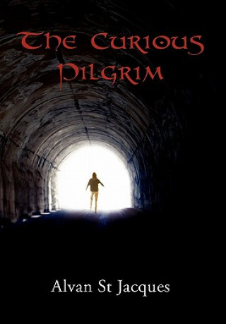 Curious Pilgrim