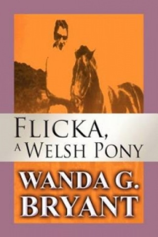 Flicka, a Welsh Pony