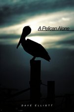 Pelican Alone