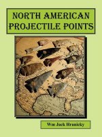 North American Projectile Points