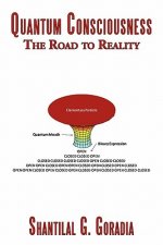 Quantum Consciousness