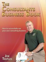Consultants Business Book