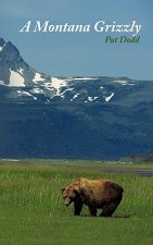 Montana Grizzly