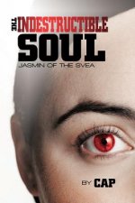 Indestructible Soul