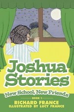 Joshua Stories