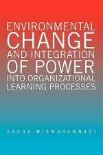 Environmental Change and Integration of Power Into Organizational Learning Processes