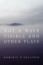 Not a Wave Visible and other plays