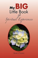 My Big Little Book of Spiritual Experiences