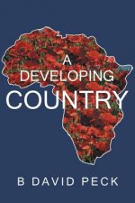 Developing Country