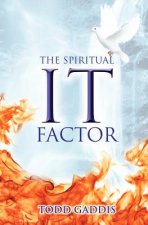 Spiritual It Factor