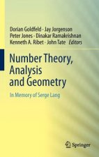 Number Theory, Analysis and Geometry