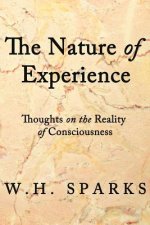 Nature of Experience