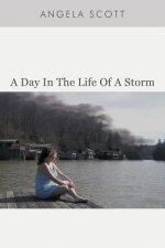 Day in the Life of a Storm