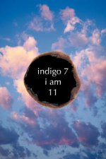 Indigo 7