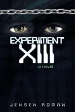 Experiment XIII