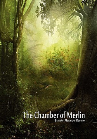 Chamber of Merlin