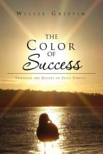 Color of Success