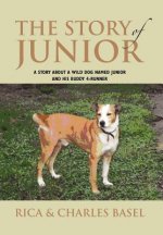 Story Of Junior