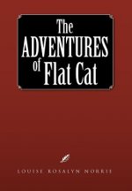 Adventures of Flat Cat